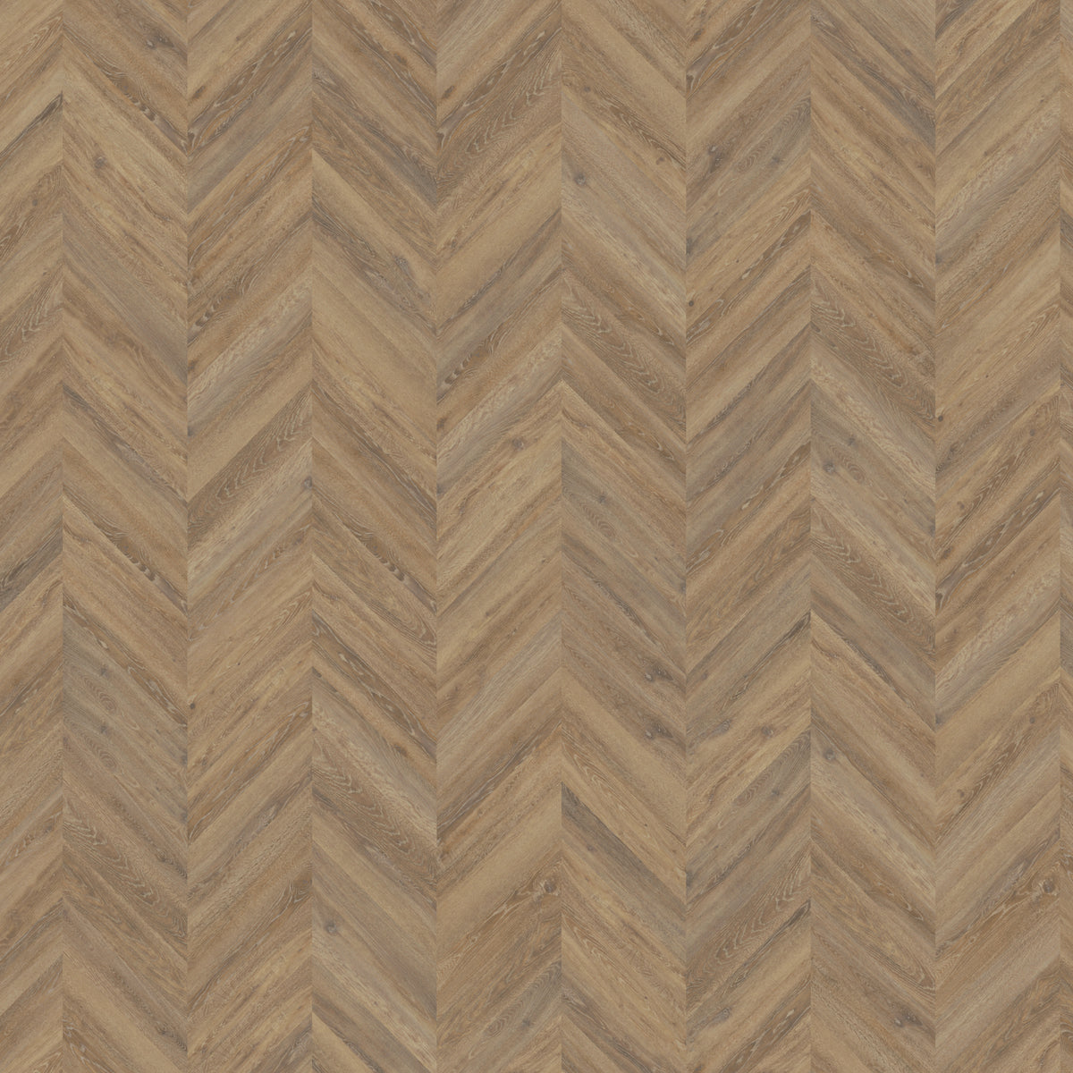 mFlor Chevron Parva Oak Apulia