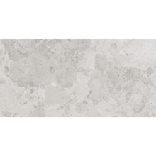 Load image into Gallery viewer, Moon Eclipse 60120 Large Format Porcelain Decor Tile

