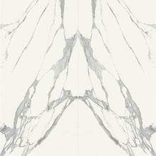 Load image into Gallery viewer, Specchio Carrara 120120 Porcelain Decor Large Format Tile
