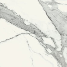 Load image into Gallery viewer, Specchio Carrara 120120 Porcelain Decor Large Format Tile
