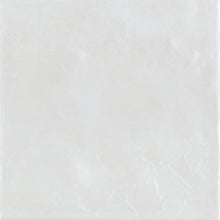 Load image into Gallery viewer, Aqua White Porcelain Decor Square Tile
